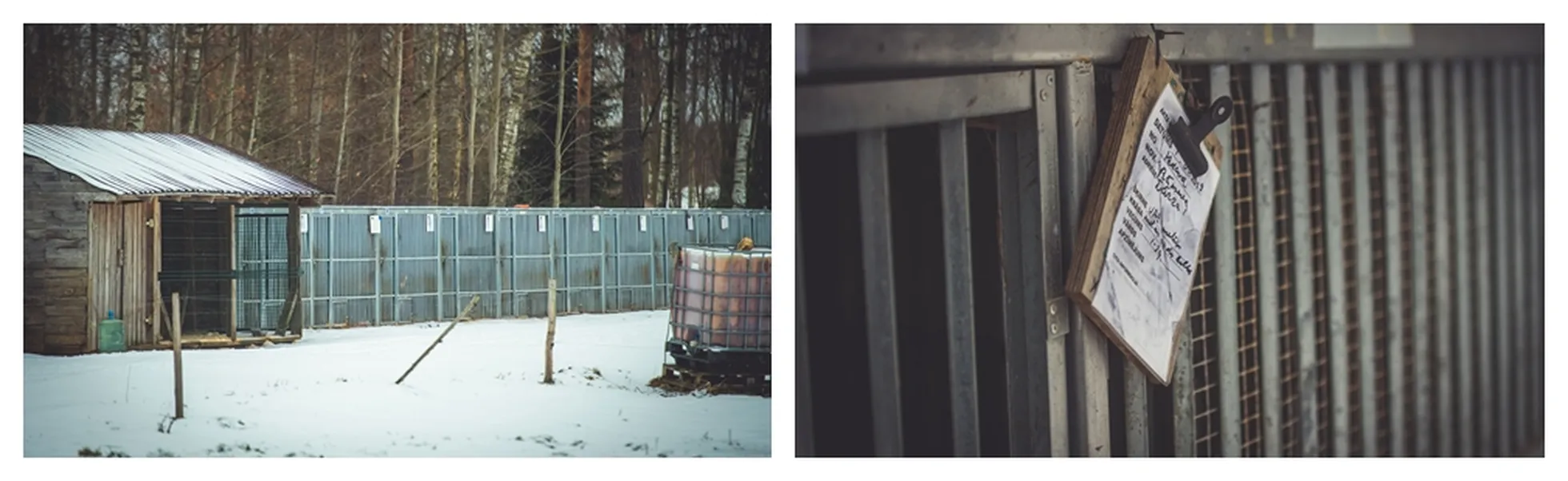 Фото статьи