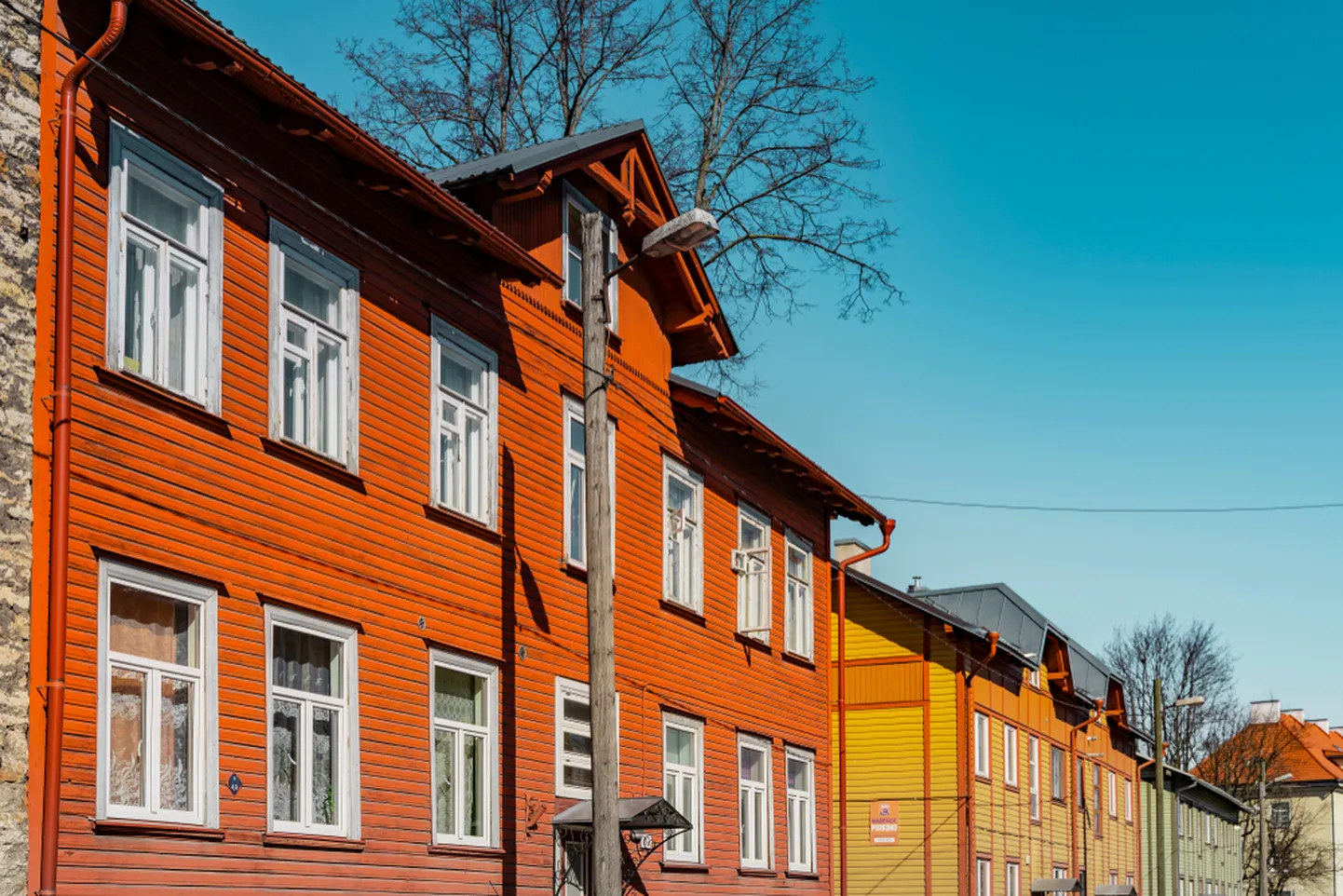 Viimase 10 aastaga on torulekete arv kahekordistunud.