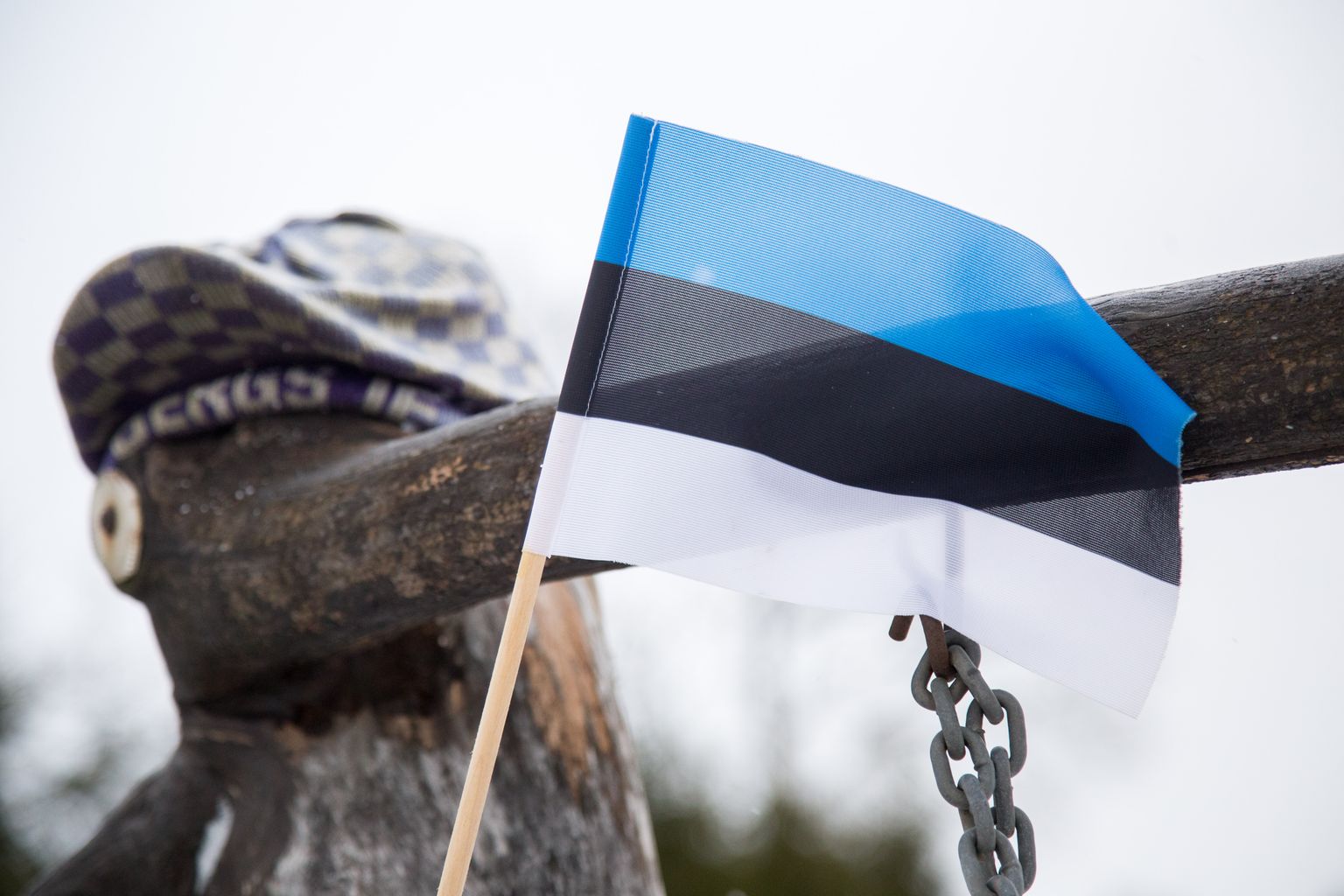 Riigipühadel heisatakse lipud. Pildil Eesti lipuke Hermanni külas Järvamaal.