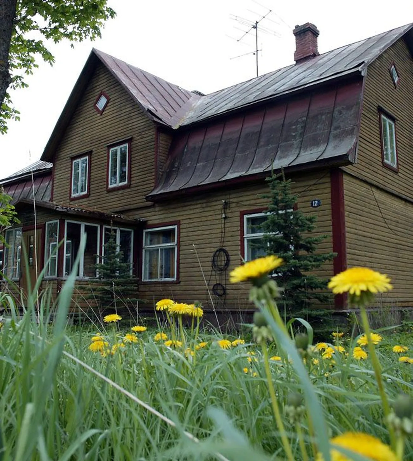 Selle kauni maamaja vastu Tudus tunnevad ostuhuvi soomlased.