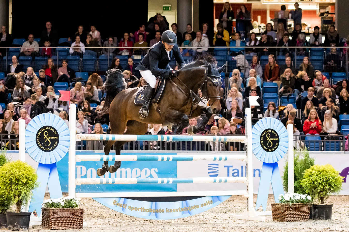 Tallinn International Horse Show 2019