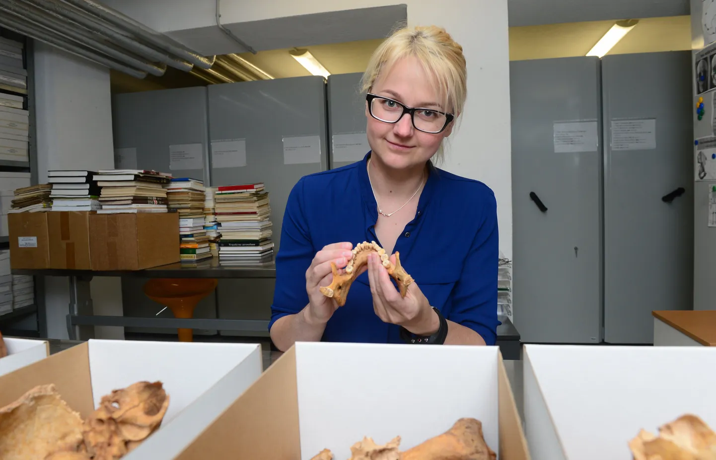 Mari-Anne Liblik hoiab käes üht 251 uuritud lõualuust. Keskealise naise ülalõuas haigutas suur tühimik, mille oli põhjustanud kaugele arenenud juurepõletik.
