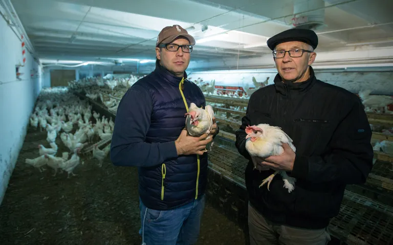Poeg ja isa Siim ja Märt Riisenberg juhivad Kehtna Mõisa osaühingut, mille farmis kaotati kanade puuris pidamine juba viie aasta eest.