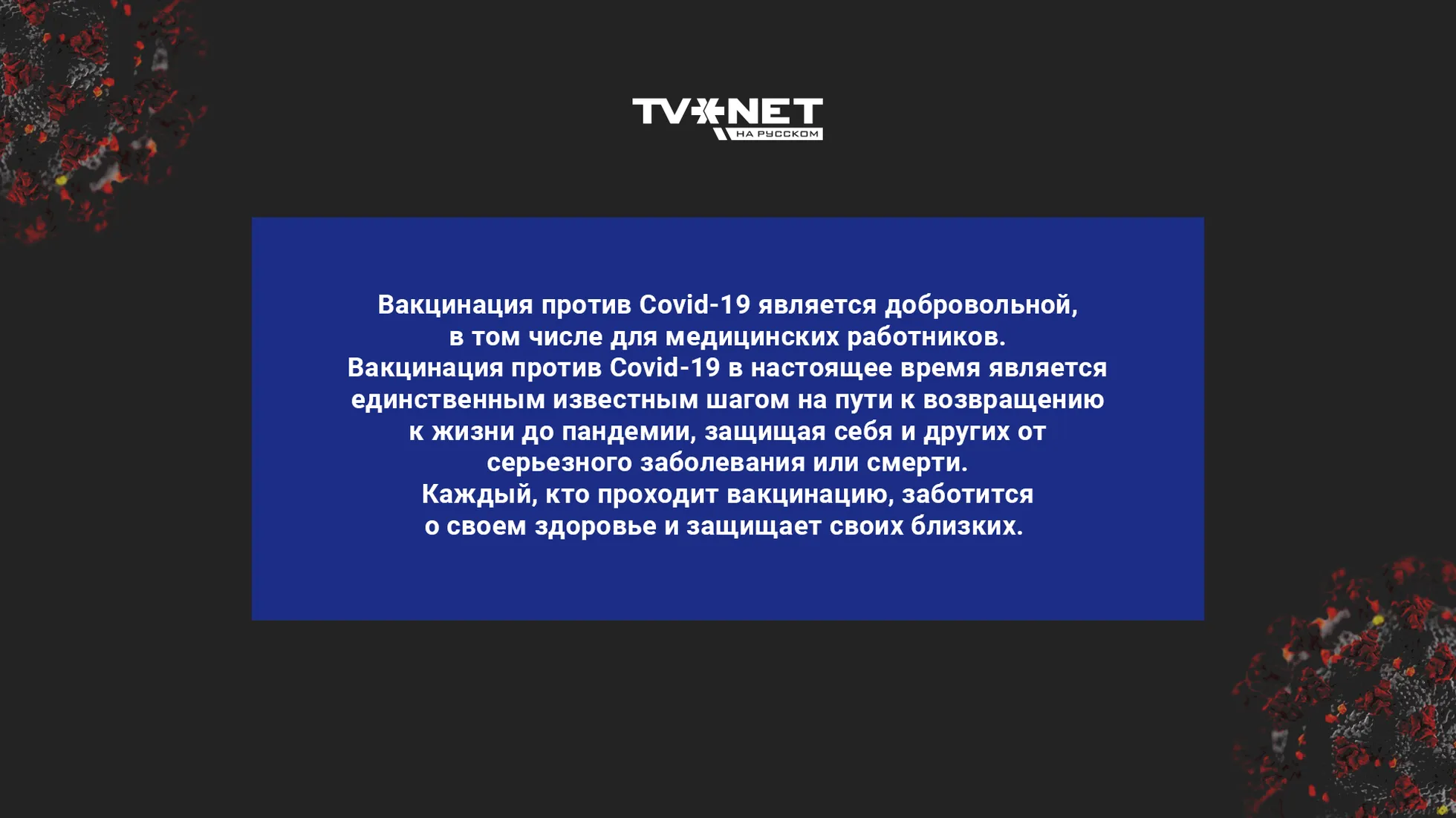 Фото статьи