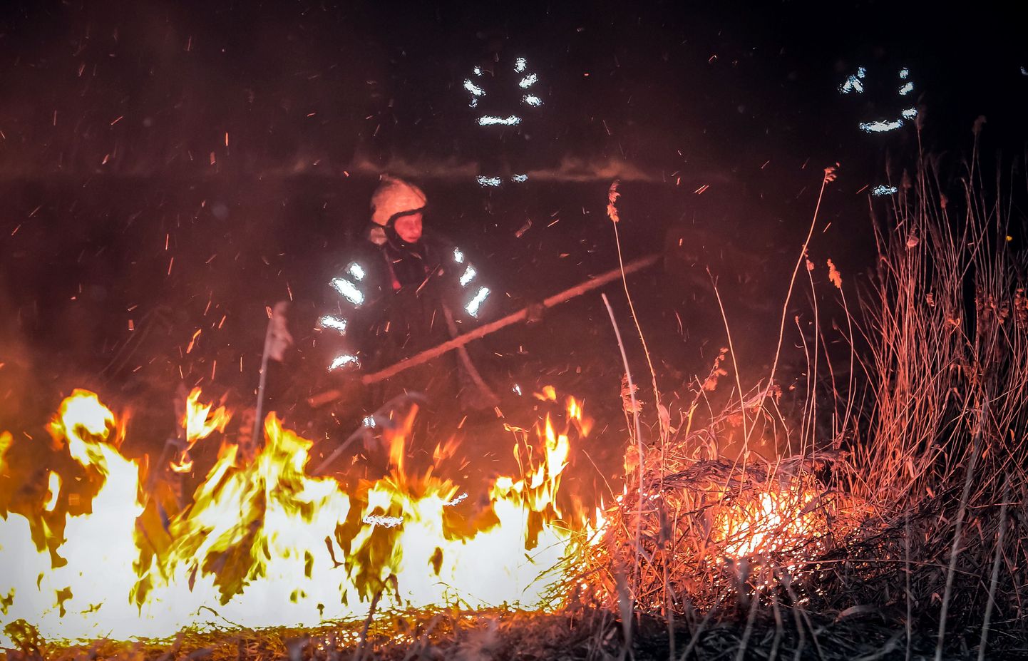 Laupäeva õhtul põles Pärnus Raekülas ligikaudu neli hektarit roostikku.