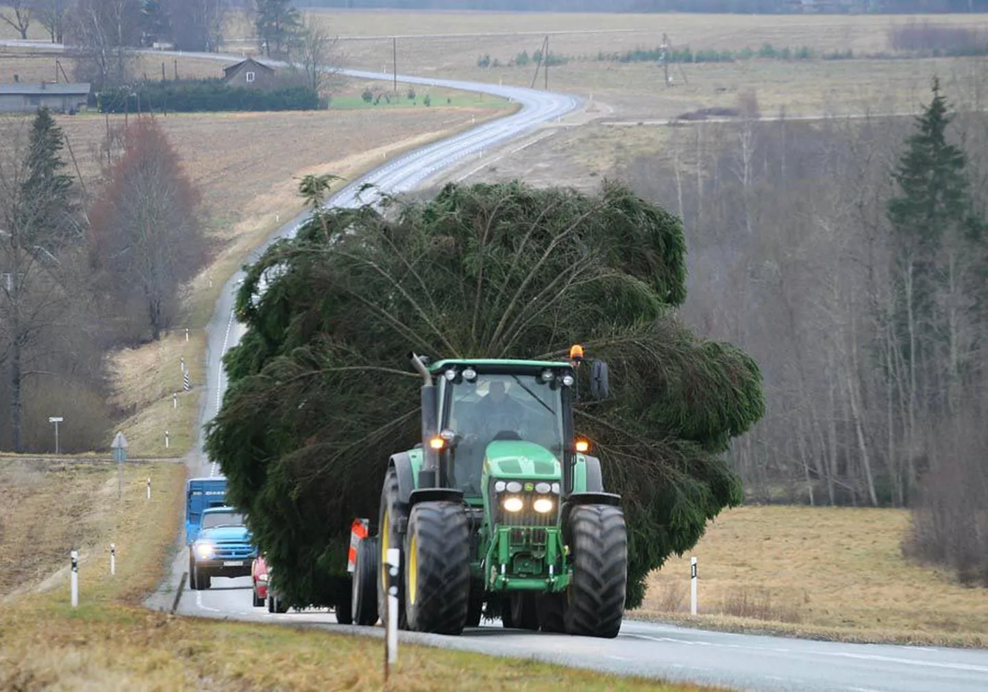 Suur puu toodi Sudistest Viljandisse traktoril, mille taha kogunes vahepeal üsna esinduslik autorivi.