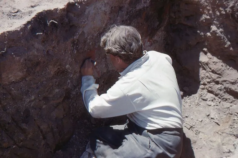 James Mellaart Çatalhöyükis