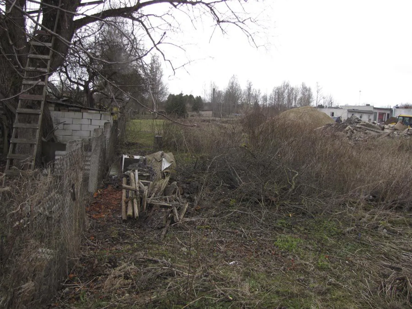 Lina tänava eramute aiatagune on Viljandi Veevärgi ja Viljandi Linnahoolduse laoplats. Osa sodist on sinna pannud Lina tänava elanikud, suuremad hunnikud on aga kokku kuhjanud linnaasutused. Nüüd tehakse piir korda ja istutatakse sinna hekk, et üks naaber teist ei segaks.