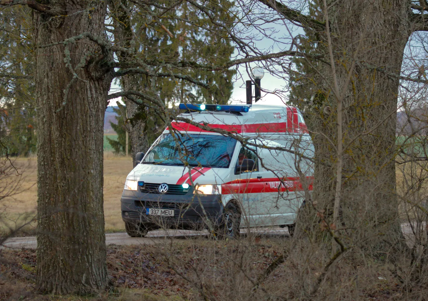 Foto on illustratiivne.