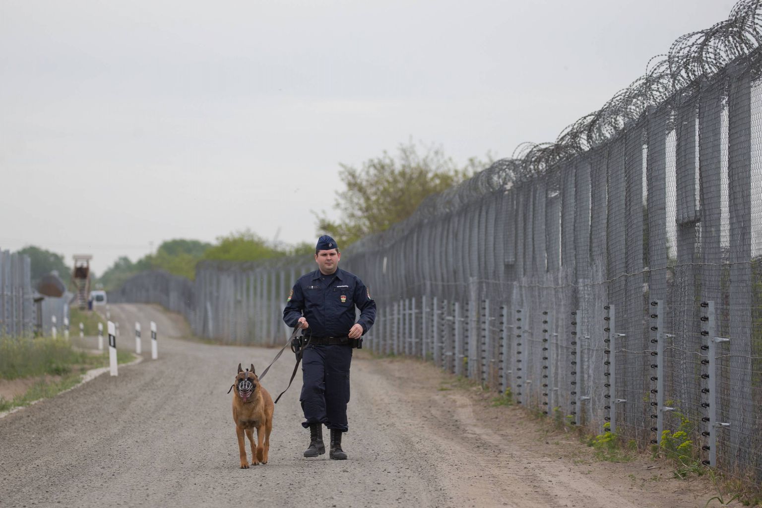Ungari politseinik piiritara valvamas.
