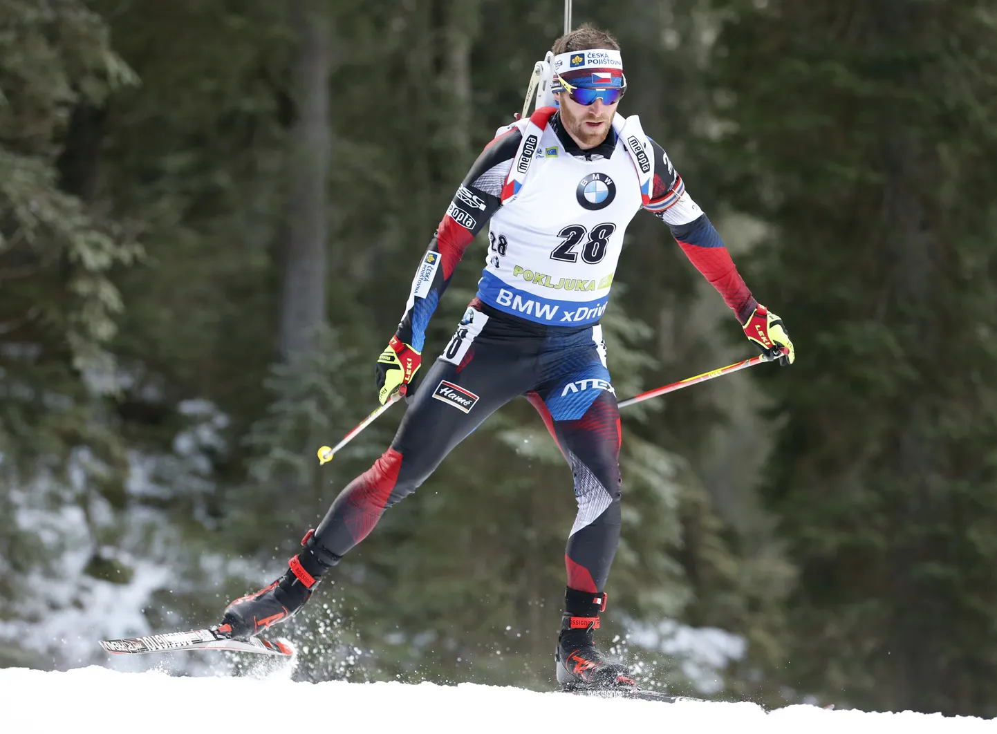 Tšehhi laskesuusataja Michal Šlesingr.