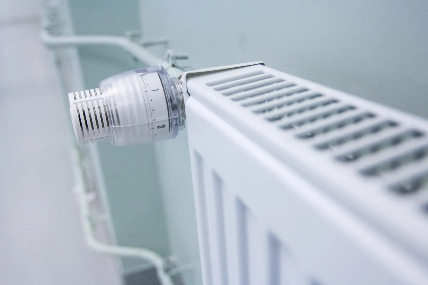 Radiaator
