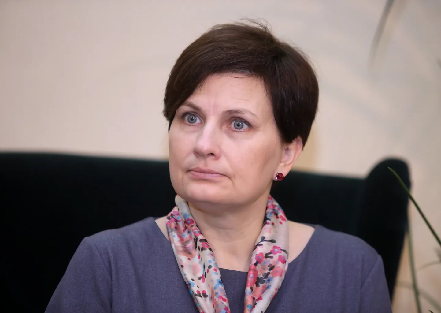 Raksta foto
