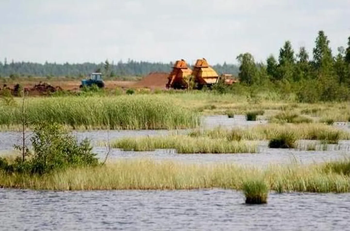 Turbaväli.