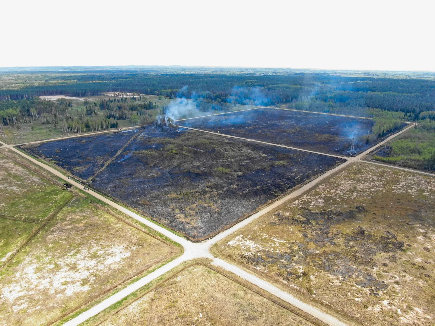 Neljapäeval puhkes Nursipalu harjutusväljal maastikupõleng, fotol on näha, kuidas on tuleohutusega arvestatud – ala on piiratud vallide, teede ja kraavidega.