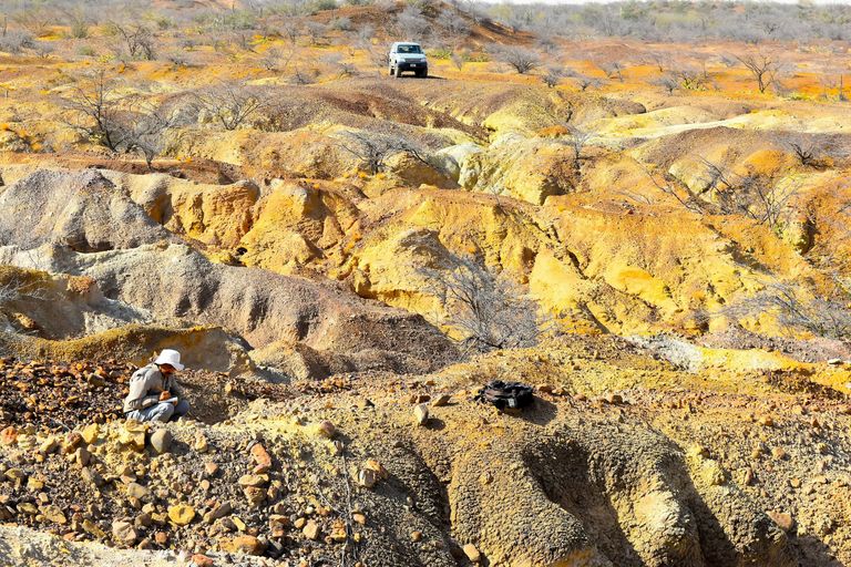 Venezuela paleontoloog Rodolfo Sanchez uurimas ala, kus kunagi elasid hiigelkilpkonnad