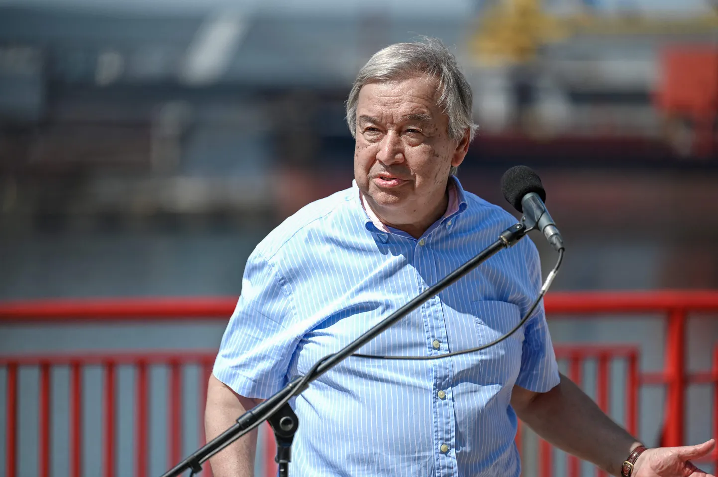 Raksta foto
