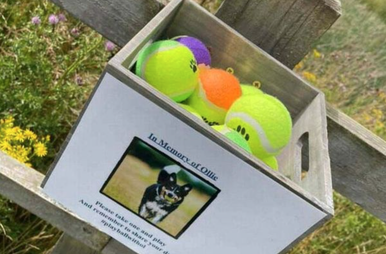 Ollie mälestuseks parkidesse pandud tennisepalli kastid.