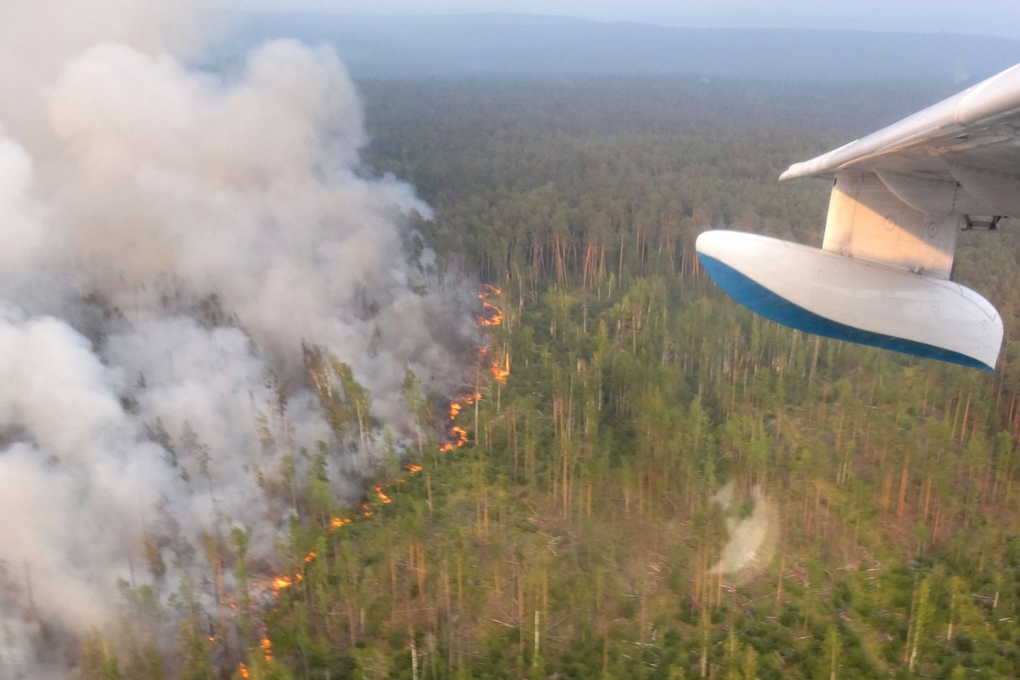 Лесной пожар в Красноярске.