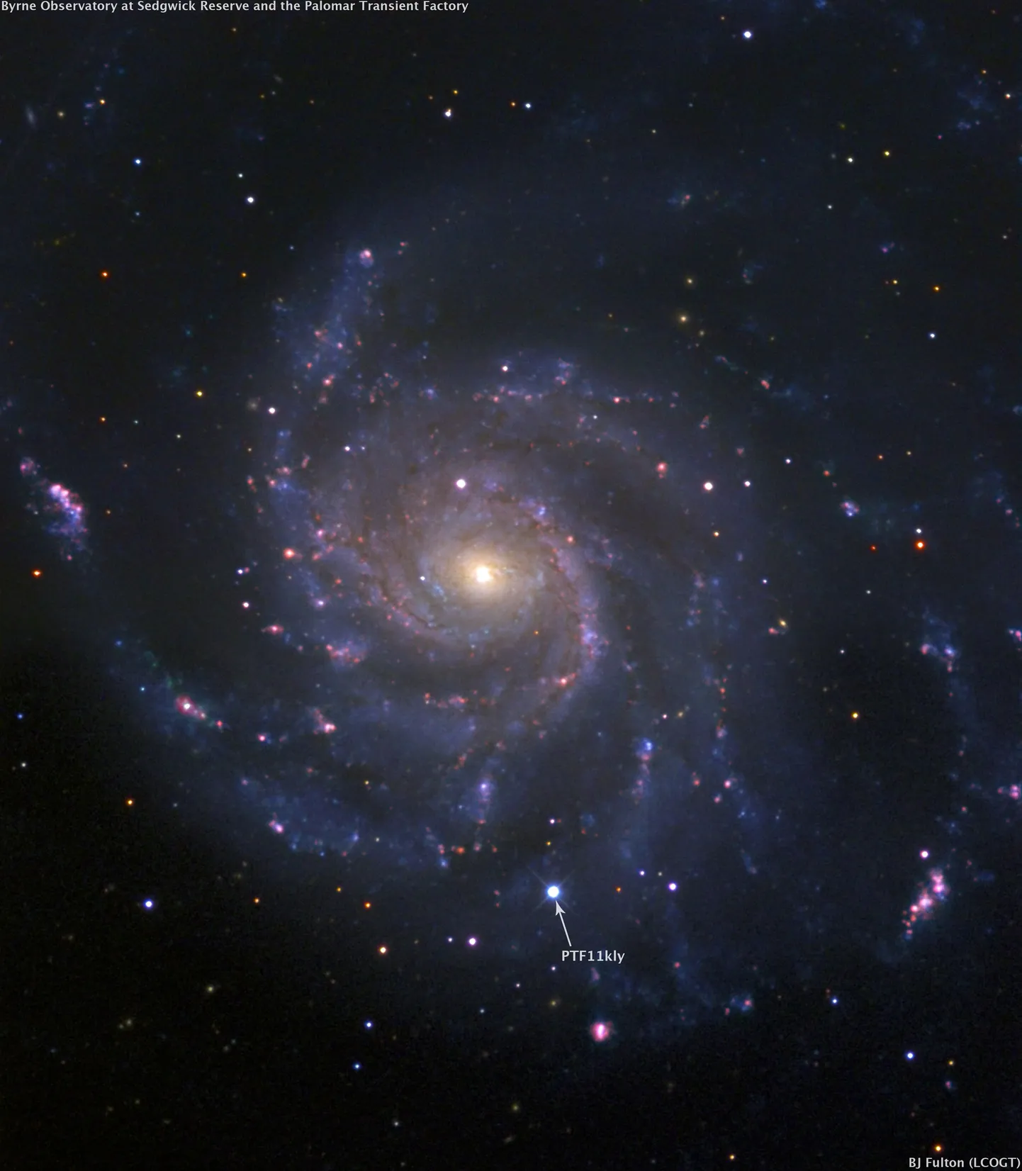Spiraalgalaktika M101 ja selles olev supernoova PTF 11kly (näidatud noolega)