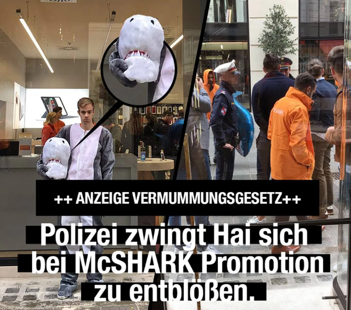 Reklaamifirma Warda Network Facebookis avaldatud foto haimaskotist.