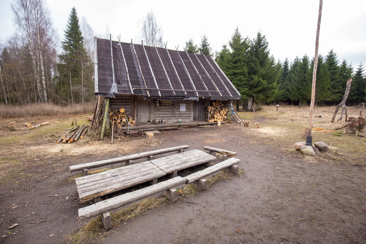 Kollassaare matkaonn