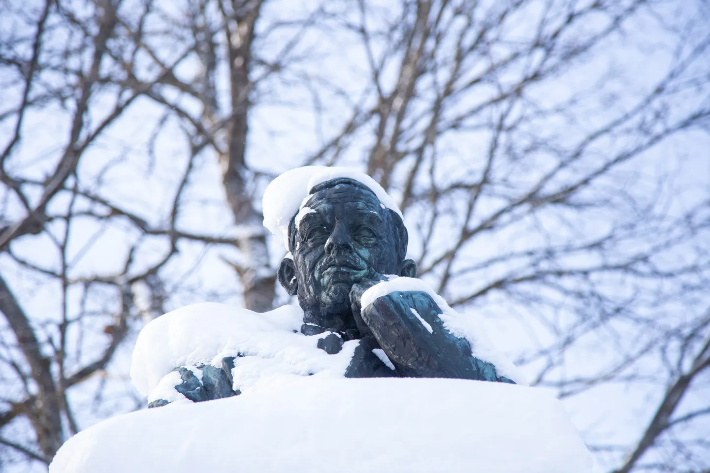 A. H. Tammsaare monument.