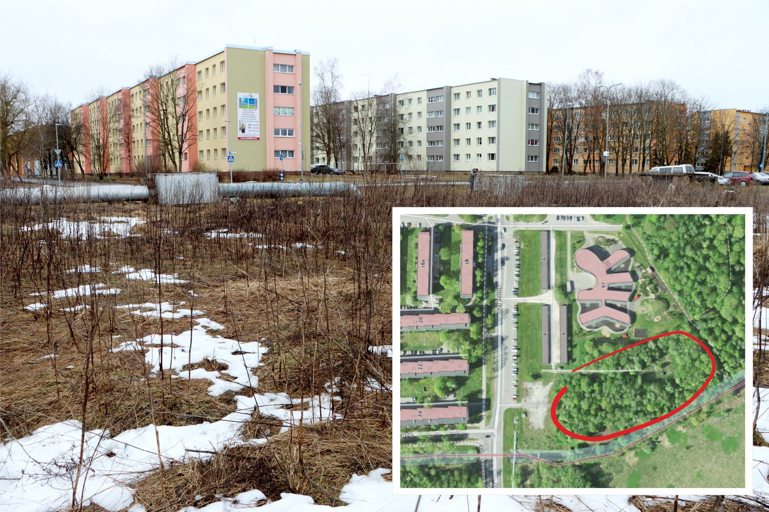 Новые квартирные дома должны появиться на краю Йыхвиского парка рядом с детсадом "Pillerkaar".