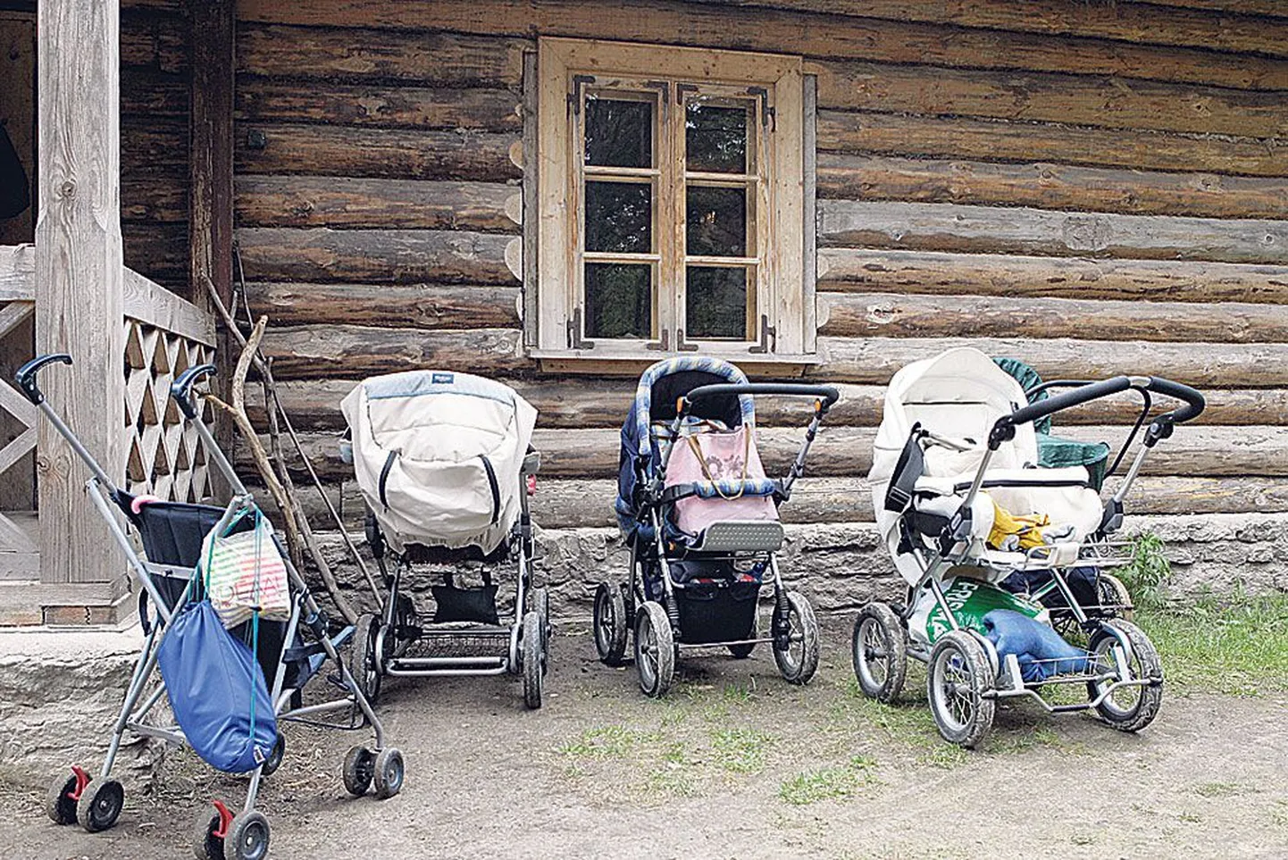 Фото статьи