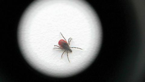 «NEETUD PUUGID!» ⟩ Kolme tõsist haigust korraga põdenud mees jagab oma läbielamisi: see kogemus on kiirtee põrgusse