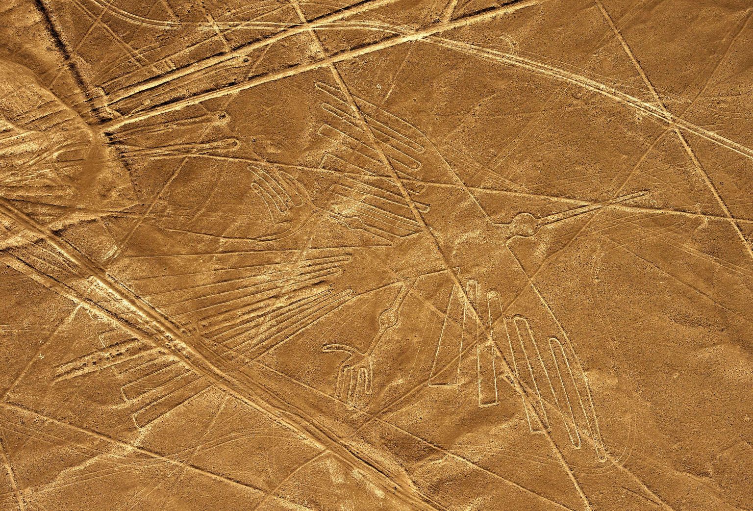 Üks Nazca geoglüüfidest, mis kujutab kondorit