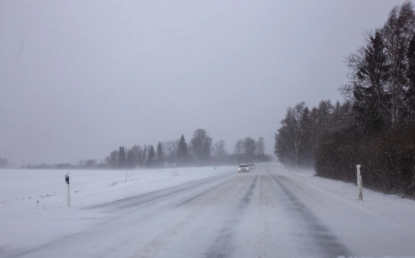Reedel võib tuisata.
