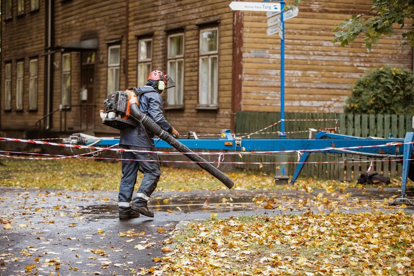Isegi vihmaste ilmadega, kui märjad lehed on kleepunud asfaldi või tänavakivide külge, on nad väga hoolsad ja hoolitsevad selle eest, et iga leht saaks kõrvalasuvale murulapile puhutud.