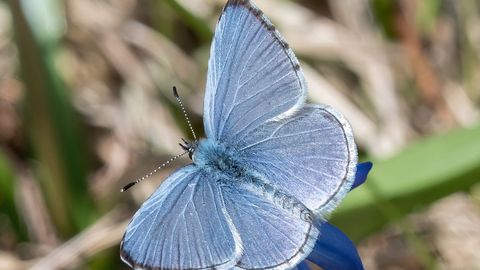PÄEVAHOROSKOOP ⟩ 28. märts: veevalaja olulised suhted saavad tugeva vundamendi, vähil hea aeg investeeringute planeerimiseks