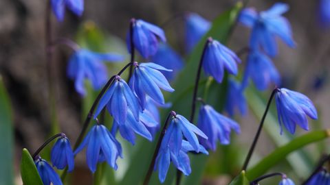 ГЛАВНОЕ ЗА 11 АПРЕЛЯ ⟩ Дорожающее дизельное топливо, обмен военнопленными и страдания заключенного