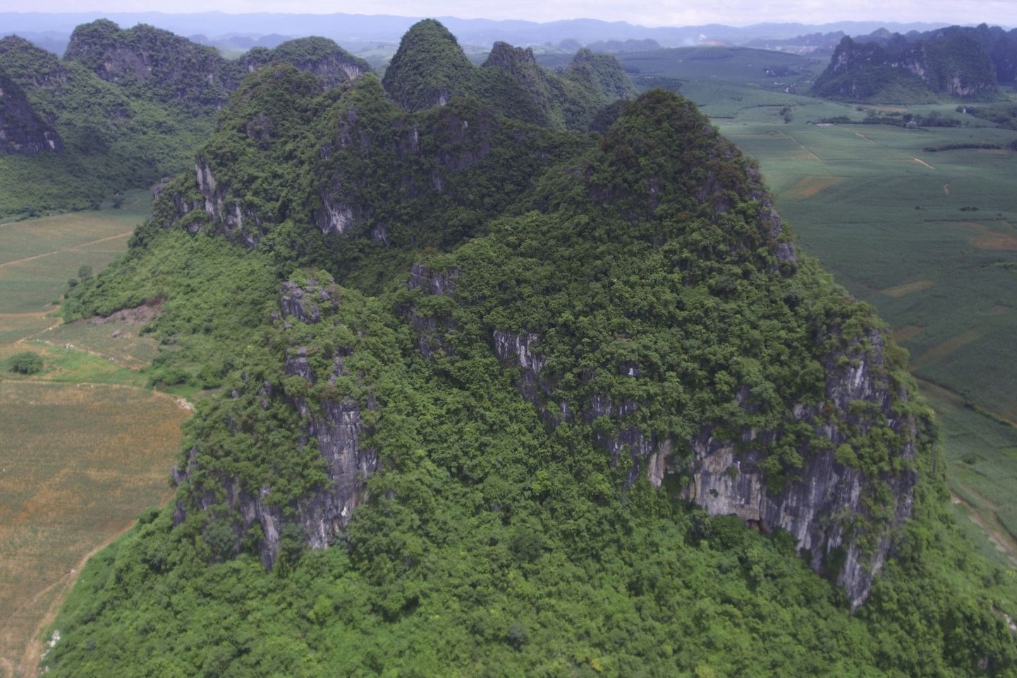 Mägi, kust Lõuna-Hiinas, Guangxi piirkonna koobastest Gigantopithcus blacki fossiilid leiti.