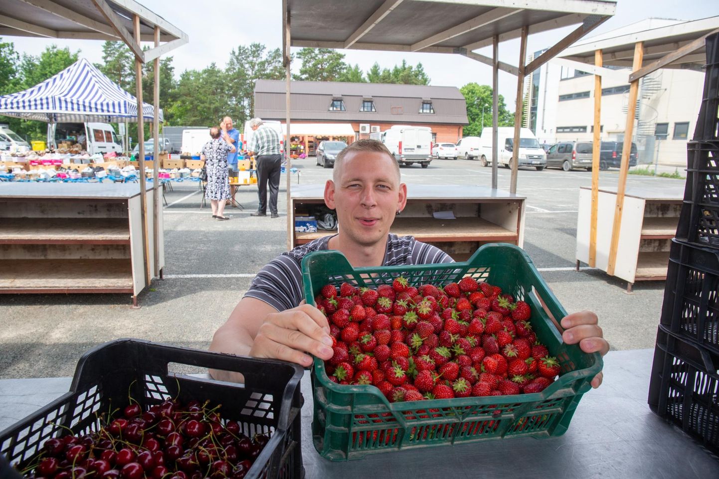 Siim Kütt on Viljandimaa suurim maasikate edasimüüja, oma kaupa pakub ta ka Viljandi turul.