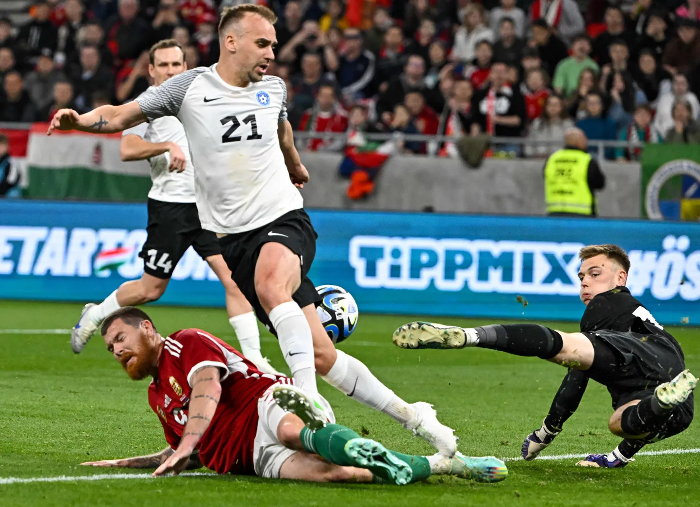 Ungari vs. Eesti maavõistlus.