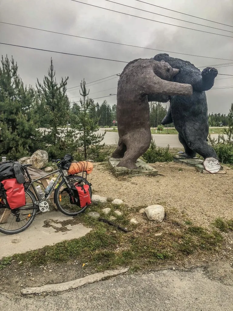 Karud läksid kaklema