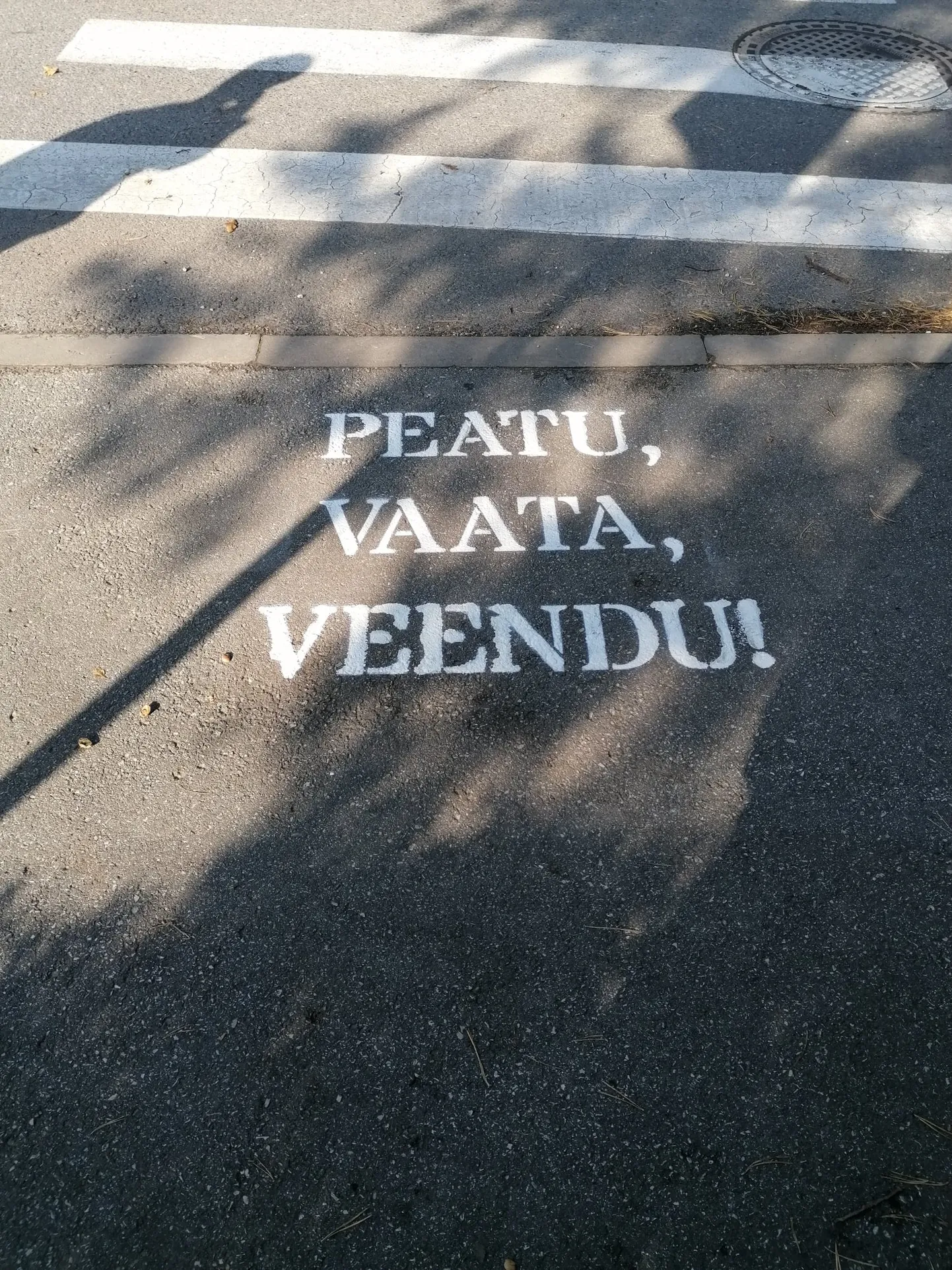 Artikli foto