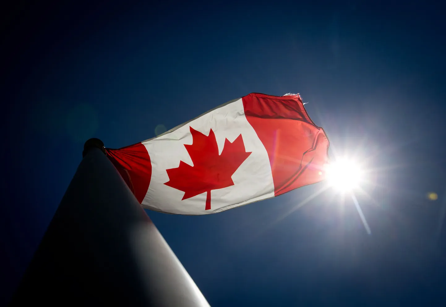 Kanada riigilipp.