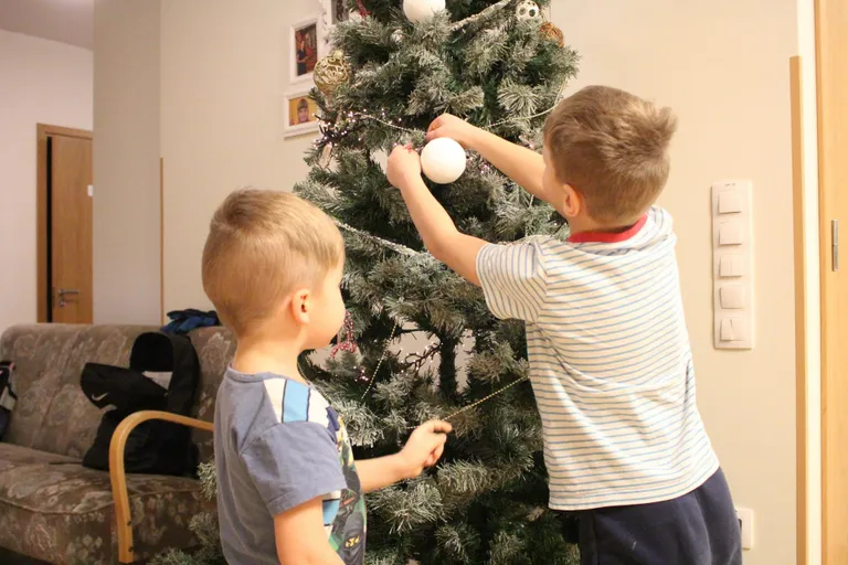 Kuusepuu saab jõulu­vana tulekuks ehted külge.