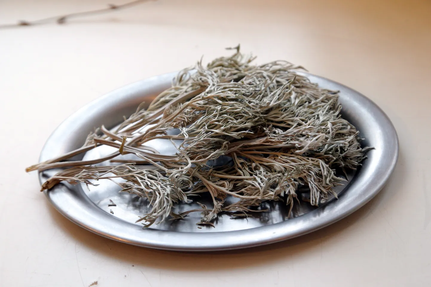 Koirohi on mürgine.
