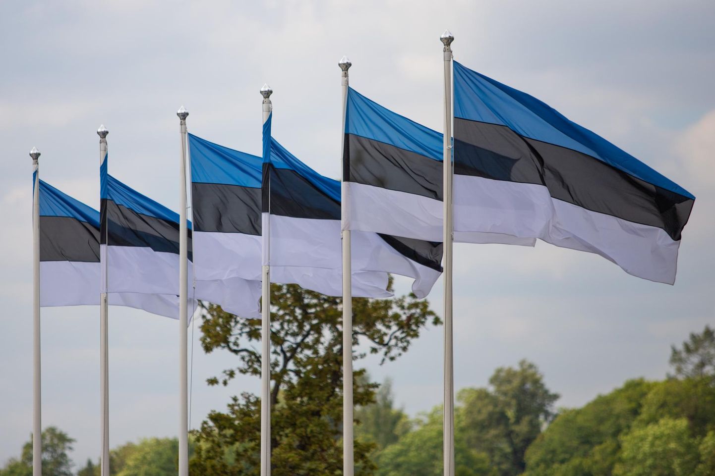 20. august on Eestis riigipüha ja lipupäev.