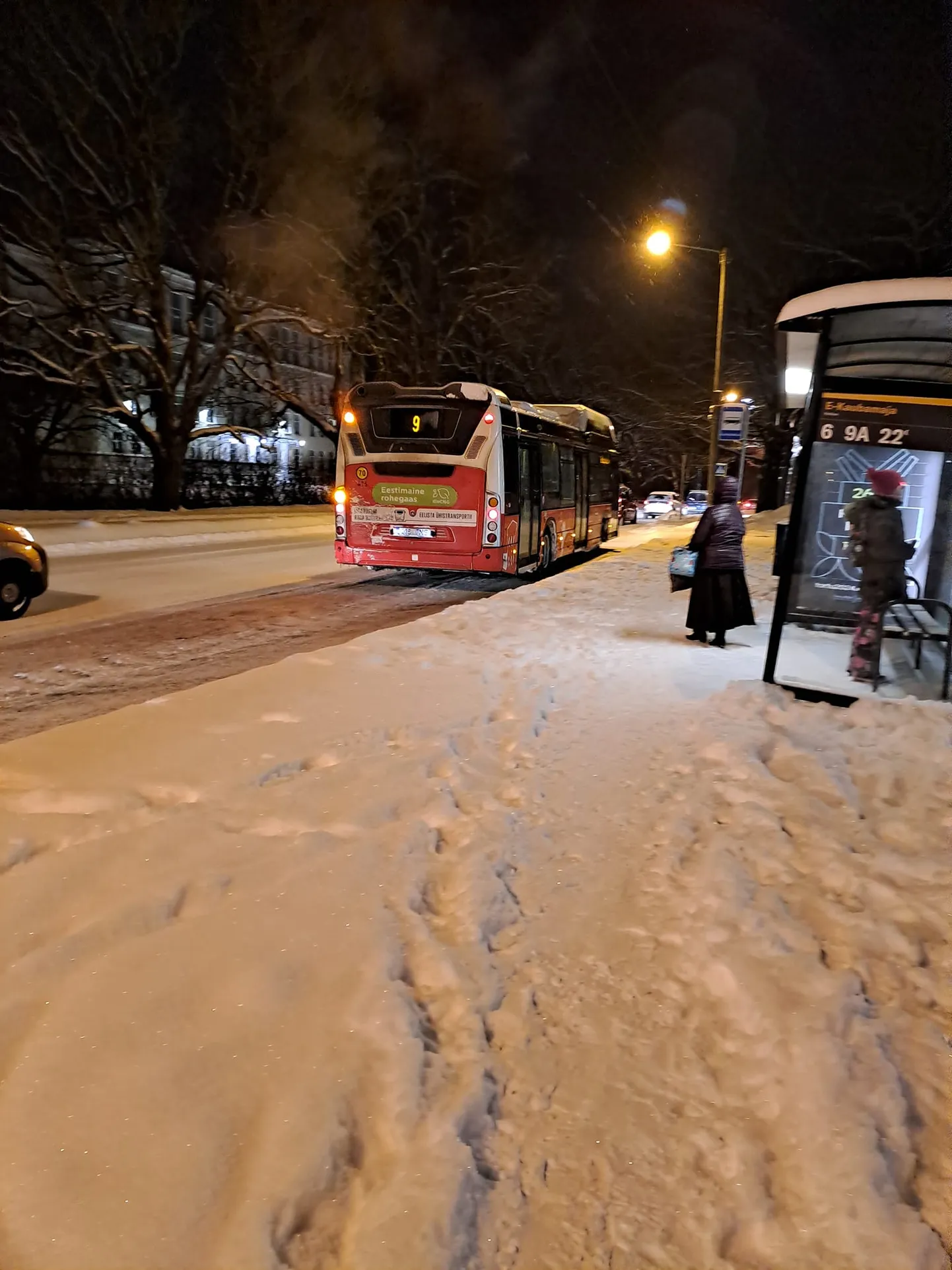 Автобусы в Тарту.