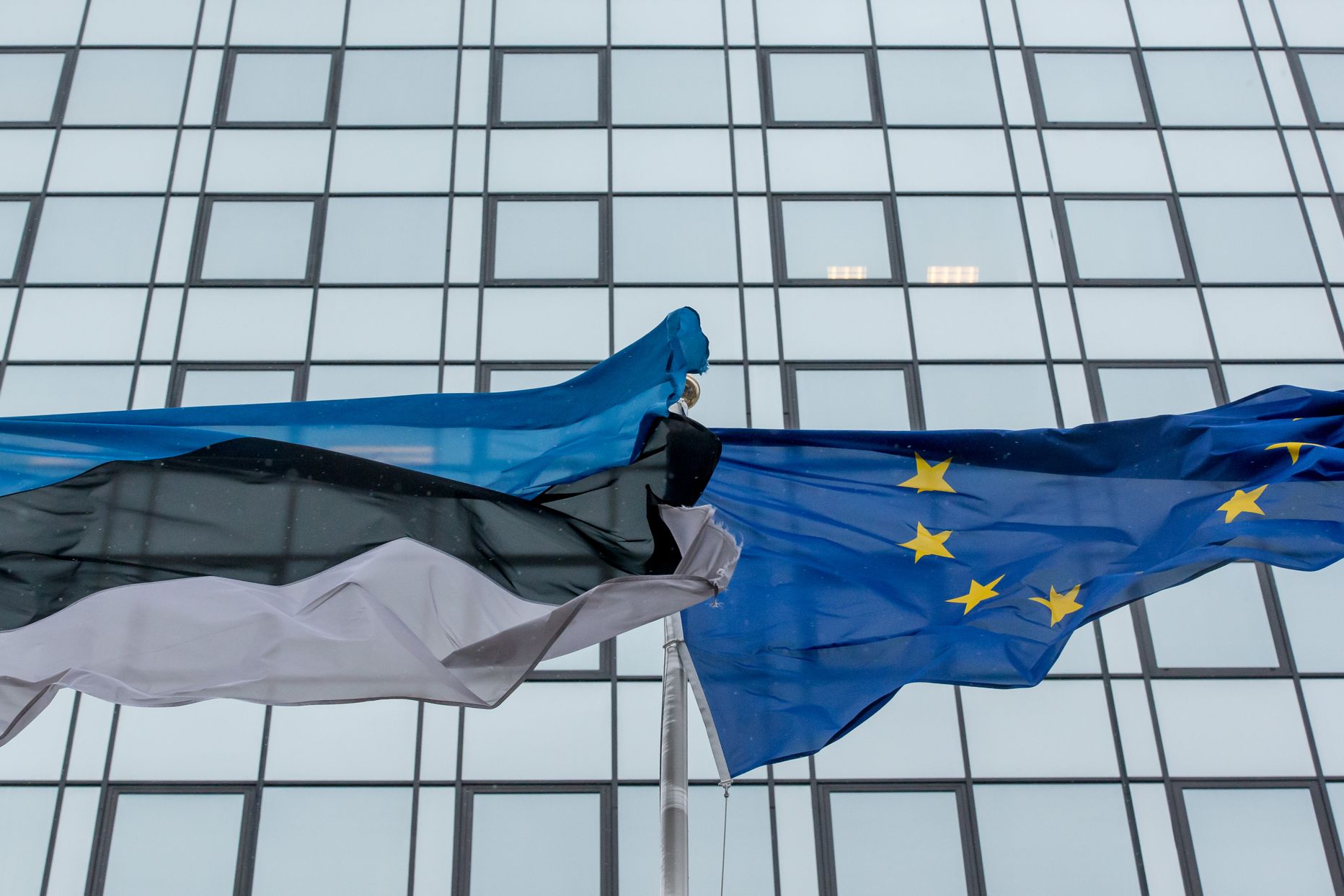 Флаги Эстонии и ЕС.