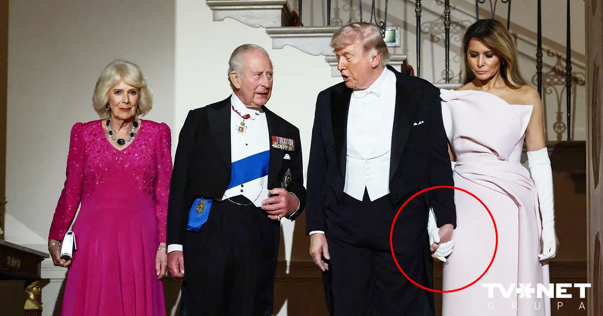 Melānija Trampa : tout ce que l'on sait à l'instant — image 1