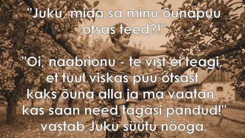 Juku õunapuu otsas