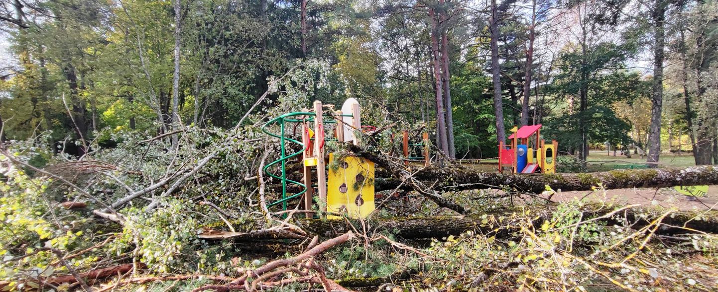 Kukkunud puude tõttu muutus kasutamiskõlbmatuks Narva-Jõesuu kõige menukam laste mänguväljak. Kevadel plaanitakse selle asemele uue mänguväljaku paigaldamist.