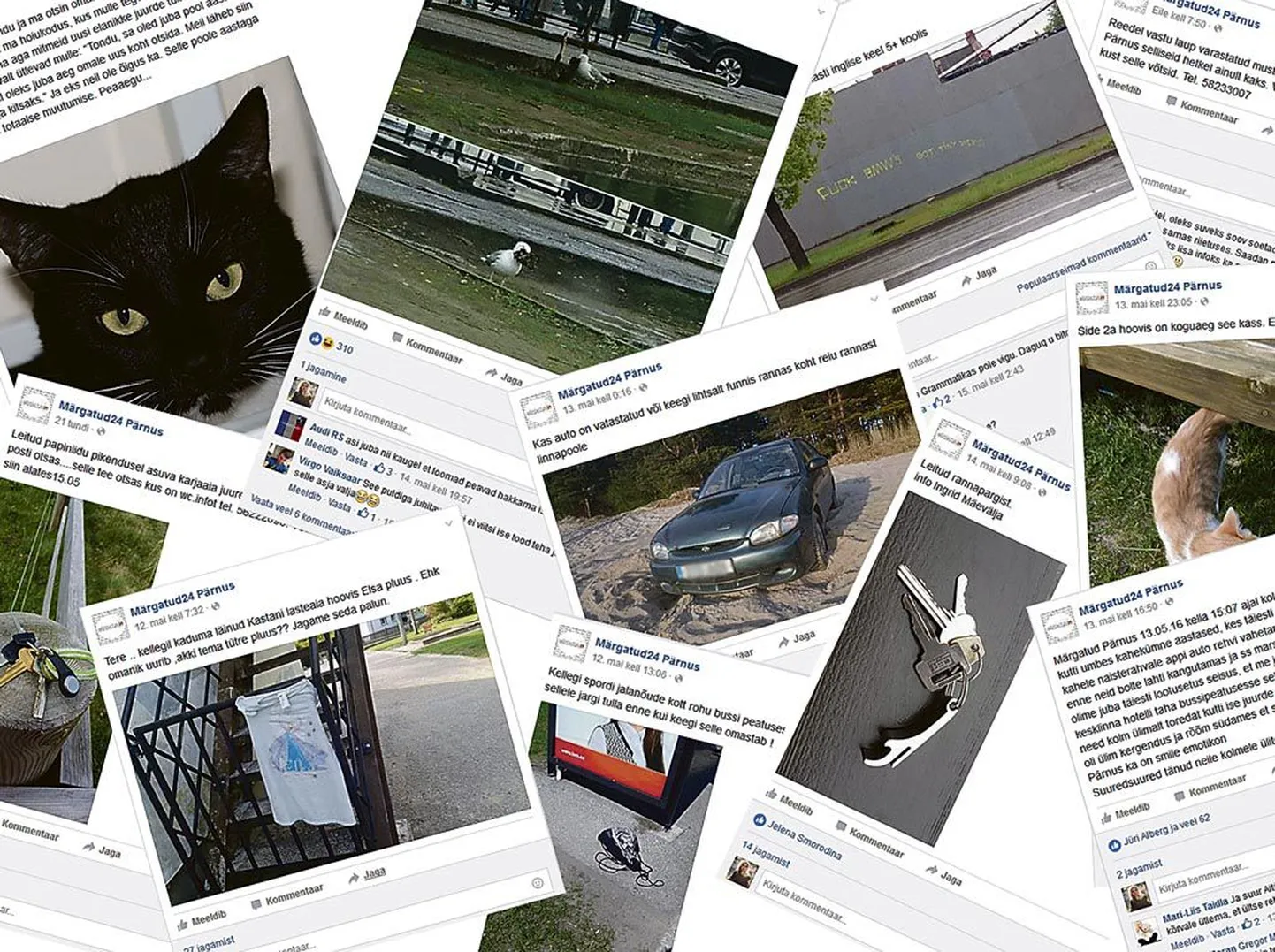 Märgatud24 Pärnus kommuun aitab leida kadunud asjad ja teavitada kiirelt kaaskodanikke, kuid mõtlematu häbistamine võib tuua kaasa suured kannatused asjaosalistele.